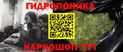 дживик Славгород