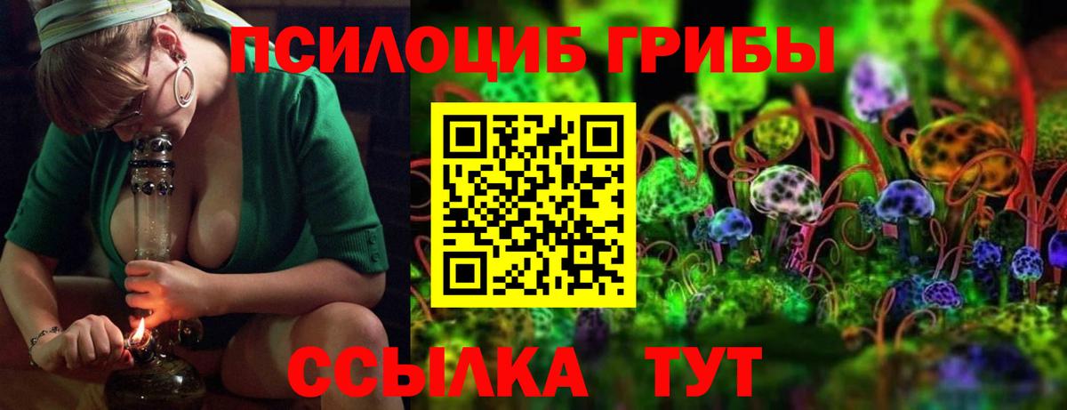 Омск  Псилоцибиновые грибы мицелий  Вход с VPN 