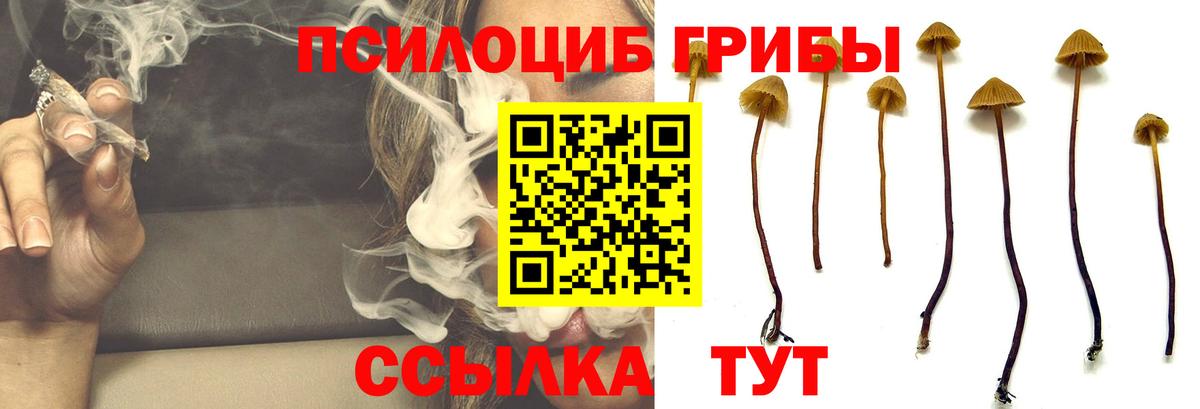 Псилоцибиновые грибы MAGIC MUSHROOMS Омск